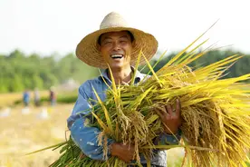 教授王福重大放厥词，声称农民无用，网友：把你吃的粮食吐出来图片