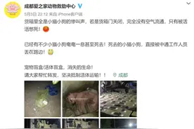 太恶劣！“宠物盲盒”爆卖，小猫小狗竟被塞货箱、活活憋死！中通快递深夜回应图片
