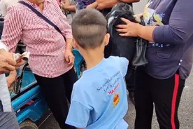 河南：男孩哭求老人别把小狗当肉卖，可在金钱面前一切都毫无意义图片