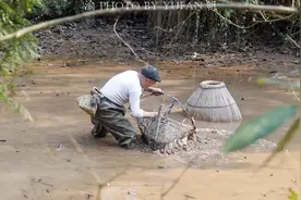 重庆乡村的春节趣事：家家户户放鱼过年，下水很冷，过程却很欢乐图片