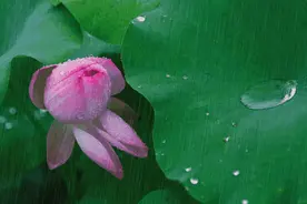 诗词鉴赏-十三首夏雨诗词，原来夏雨可以这么美，你喜欢哪一首？图片