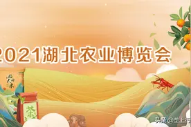 周六见！2021湖北农业博览会本月27号在汉举行图片