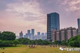 “1336”：实现“老有颐养 老有所依 老有所乐 老有所安”的深圳密码图片