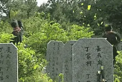 重温《少年包青天》：黑人扮演的“焦尸”，童年不敢看，现在想笑图片