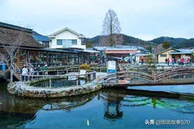投币上瘾：日本1200年水塘被各国游客扔硬币，放严禁牌也不好使图片