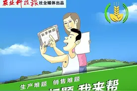 问农热线 | 圣女果果面有小黑点，叶片发黄、枯萎，咋回事？图片