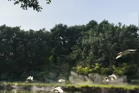 古人云：三十而立，四十不惑，五十而知天明，面对磨难所悟不同图片