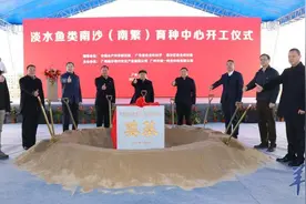 总投资8亿元！全国首个鱼类南繁基地在广州南沙开工图片