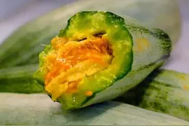 又到了吃羊角蜜的季节，学会这4招，挑到的羊角蜜又香又甜图片