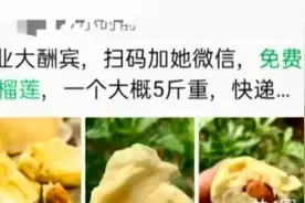 加微信就能免费领榴莲？市民一番操作被骗13万图片