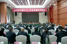 渠县代表团审议市政府工作报告图片