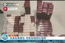 快递包裹引出一网络贩卖假烟团伙 一条的价格低到市场上一包都买不到图片