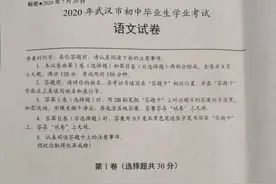 2020年武汉中考语文试卷及答案图片