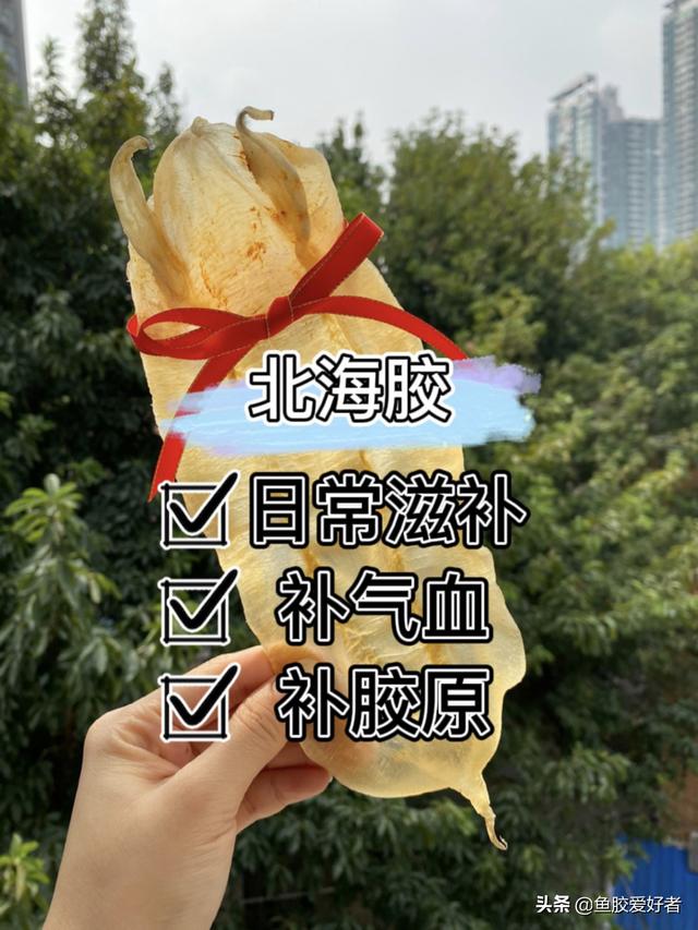 北海阴阳胶鱼胶的功效 2026年北海阴阳胶鱼胶好不好