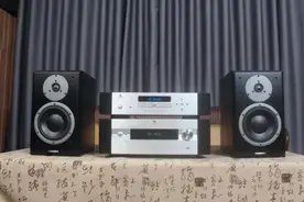 丹拿必须配天价功放？这套天逸良心搭配，以“性价比”服众图片