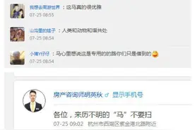 突发！杭州街头跑来一匹马图片