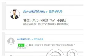 突发！杭州街头跑来一匹马图片