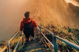 假如生活欺骗了你图片