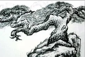 刘晖画奇松图片