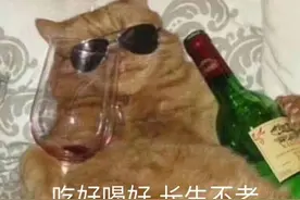 博乐达的使用方法图片