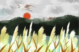 《诗经》中的青铜时代——伊人的含义你真的理解对了吗？图片