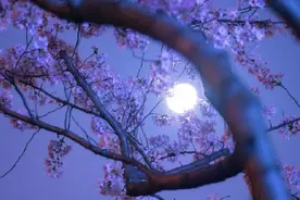 不然秋月春风夜，争那闲思往事何图片