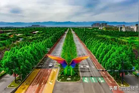 最高限价+顶级配置！沣西新城这三宗地值得期待图片