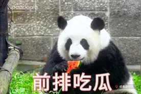 绩笑：你们姐妹两个胆子肥了！敢说我的“坏话”图片