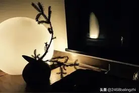 那一晚 作者：林徽因 朗诵：程蓉图片