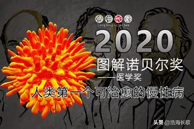 图解2020诺贝尔医学奖：人类第一个可治愈的慢性病毒性疾病图片