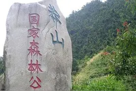 被称为“蛇中熊猫”的莽山烙铁头，凭什么一条价值上百万？图片