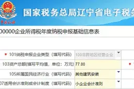 汇算清缴 | 不可不读！电子税务局填报《A000000基础信息表》的注意事项及表间勾稽关系（第一部分）图片