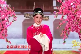 黄梅戏名家吴琼再登春晚，苦熬多年终站C位，另一位吴琼深藏不露图片