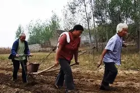 @一两茶叶的鲁西南方言杂谈（一）图片