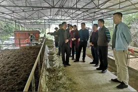龙华区民治街道到凤山县开展调研工作图片
