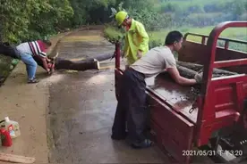 应对防汛抢险，芦洲镇干群这样做图片