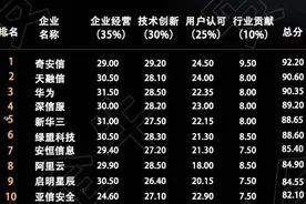 2020年中国网络安全收入达690亿 奇安信位居100强企业榜首图片