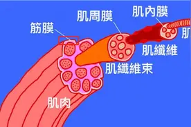 有种伤不起的痛，叫筋膜炎！怎么治？医生教您1个省钱的好办法图片