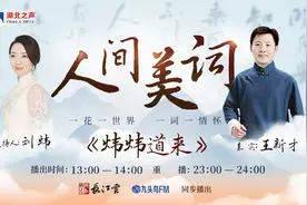 风华千古苏东坡：寂寞沙洲冷图片