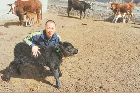 科技特派员 把论文写在大地上图片