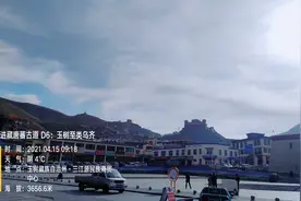 D6：玩在玉树：上午到文成公主庙，中午路遇大秃鹫图片