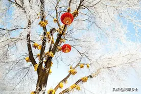 今天是“三九”为什么老话说:三九冰上走一走，过年也能露一手！图片