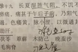 [每日读医案] 湿胜气阻，不饥不食，四肢痹痛，甚于午后图片