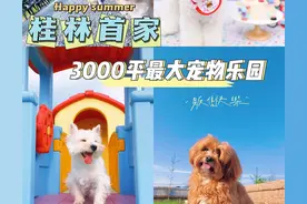 桂林｜3000平最大宠物乐园 很in专业的宠物度假乐园图片
