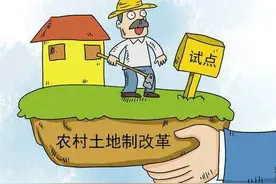 土地补贴150-800元，试点区域已公布，两项补贴有你没？图片