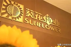 葵花药业原董事长关彦斌判刑11年 两女儿急将6亿元现金银行理财图片