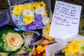 英国男童遭恶狗袭击身亡 警方开枪7次击毙 民众：对不负责主人指控图片