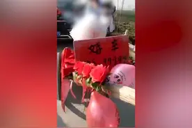 亳州一情侣结婚用手推车当婚车，车牌手写皖S99999视频封面