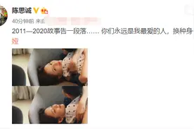 佟丽娅陈思诚官宣离婚！结婚7年育有一子，解除商业关联和平分手图片