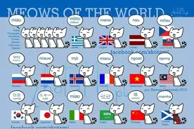 你知道国外如何形容猫咪狗狗叫的吗？和中国有什么不同？图片